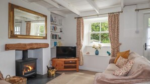Een gezellige woonkamer met een open haard, een televisie, een bank en een boekenkast.