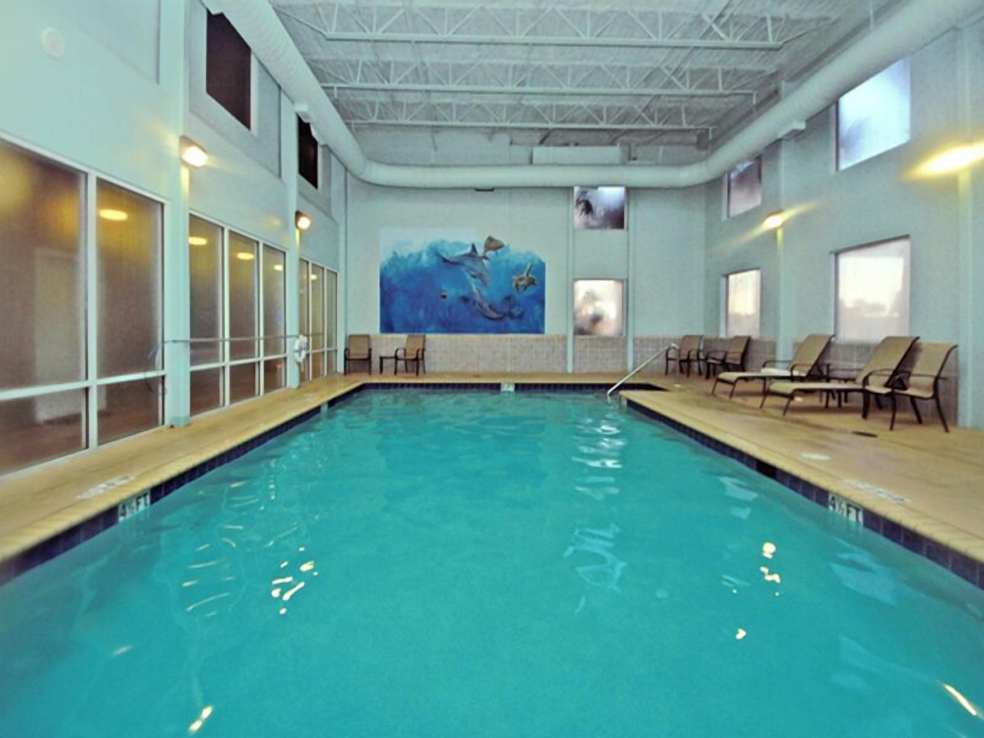An indoor swimming pool with clear blue water, a mural of dolphins, and several lounge chairs along the poolside.