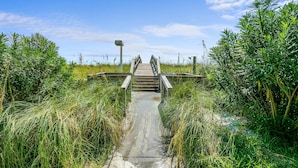 Una passerella in legno che conduce a un ponte su un corpo d'acqua, circondata da fitta vegetazione.