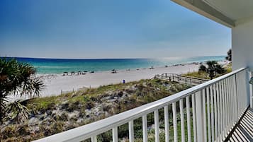 Appartamento, letti multipli, cucina, vista oceano (#9 - No Pets) | Parco della struttura