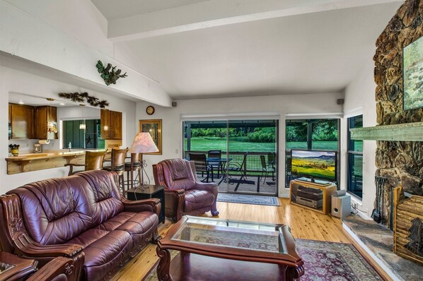 Télévision, cheminée, lecteur de DVD