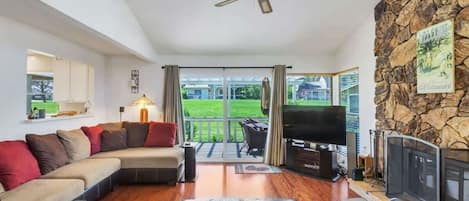 Télévision, cheminée