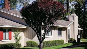 Una casa de dos pisos con un césped cuidado y un árbol en la parte delantera.