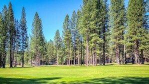 Un parcours de golf doté d’un gazon bien entretenu et bordé de grands pins.