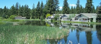 Peace on the Pond - 70 Pond
