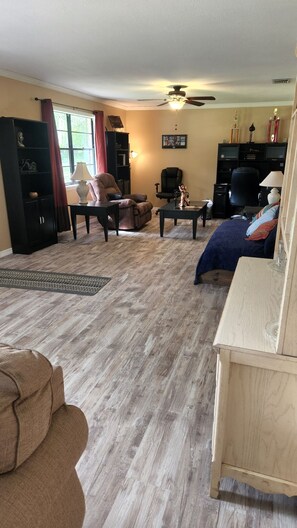 Smart TV, stereo, computer monitors, printers