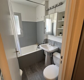 Bathtub, hair dryer, toilet paper