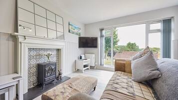 TV, fireplace, books, offices