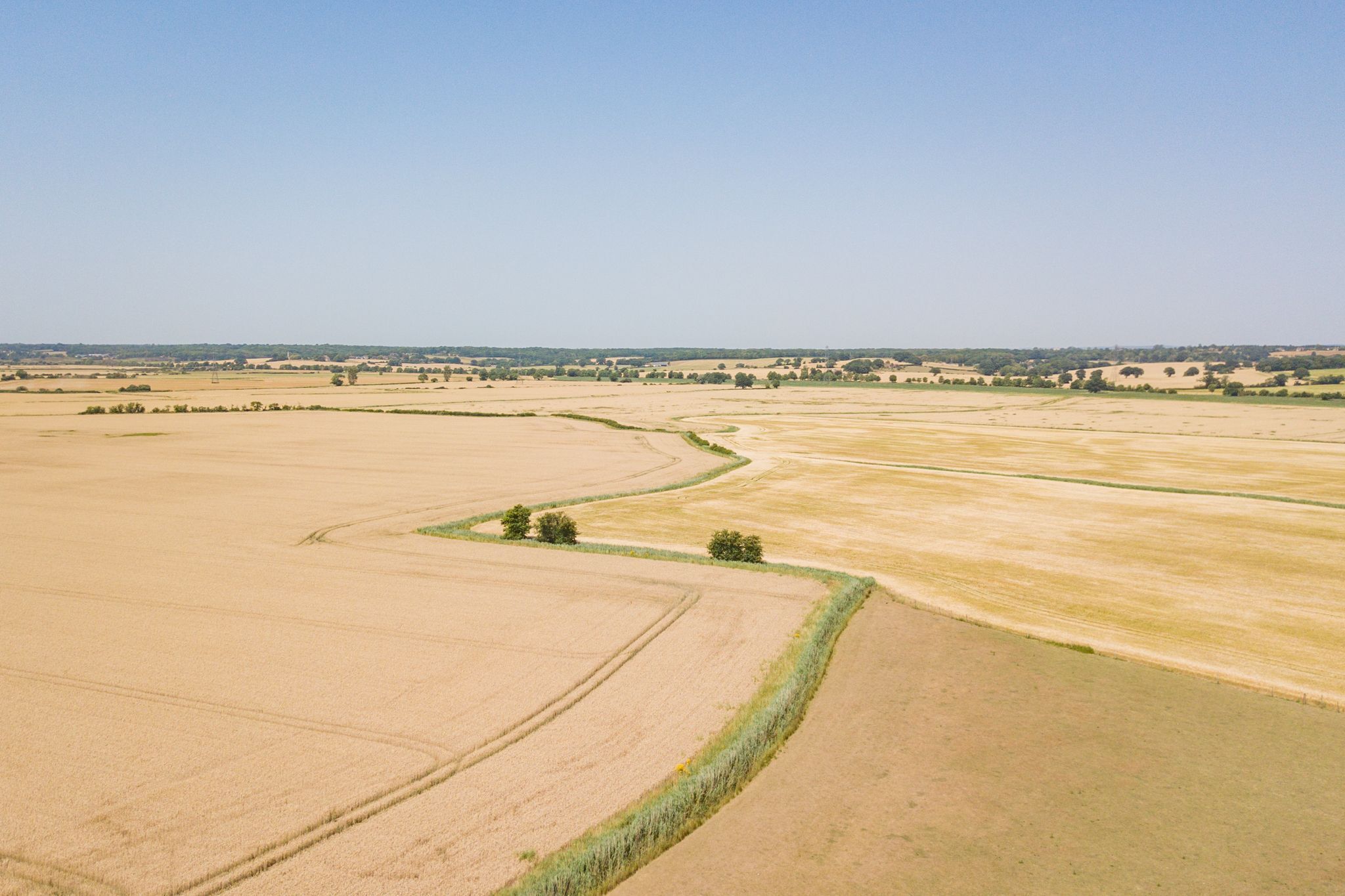 A vast agricultural field with a curved path and sparse trees.
