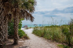 Un sentier sablonneux menant à une plage bordée de palmiers et parsemée de parasols de plage.