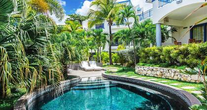 Blue Pelican Luxury Villa - Featured on HGTV!