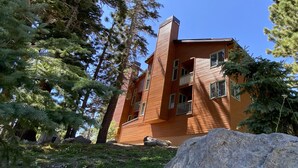 Un bâtiment en bois à plusieurs étages, entouré d’arbres.