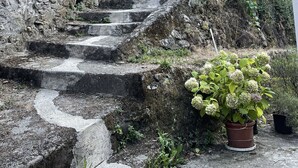 A stone staircase leading up to a building with a red roof, surrounded by greenery and potted plants.