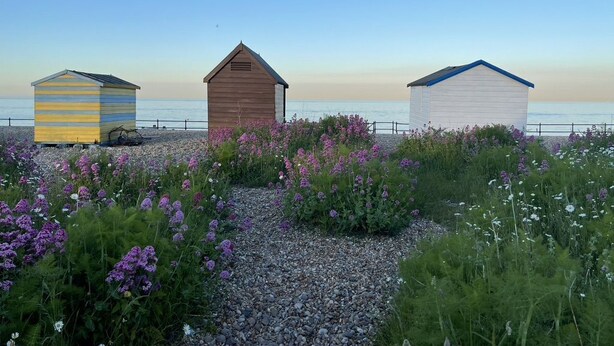 Tres cabañas en la playa, con un camino de grava y flores moradas al frente.