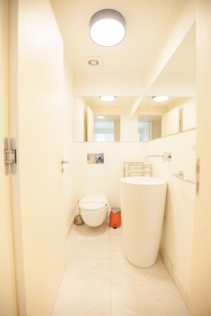 A narrow bathroom with a toilet, a sink, and a mirror.