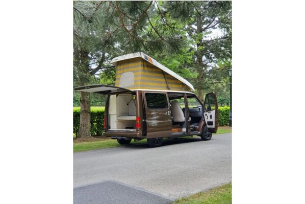 Property grounds - Retro Campervan Hire Scooby (Leinster)