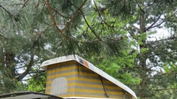 Una furgoneta marrón con un toldo grande y a rayas, y una puerta lateral abierta, estacionada en una calle con árboles al fondo.