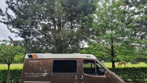 Un fourgon brun est garé sur une route bordée d’arbres, et on aperçoit un cheval au loin.