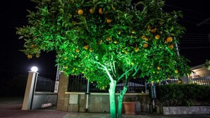 Un arbre chargé de fruits, un lampadaire et une entrée fermée par un portail, le tout de nuit.