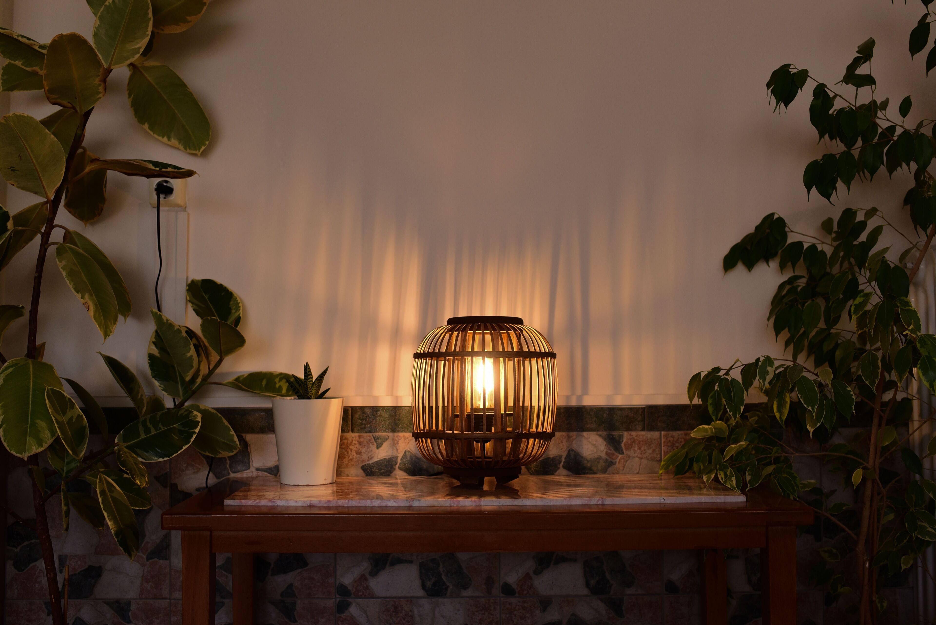 A wooden table with a potted plant and a decorative lamp against a wall with a stone pattern.