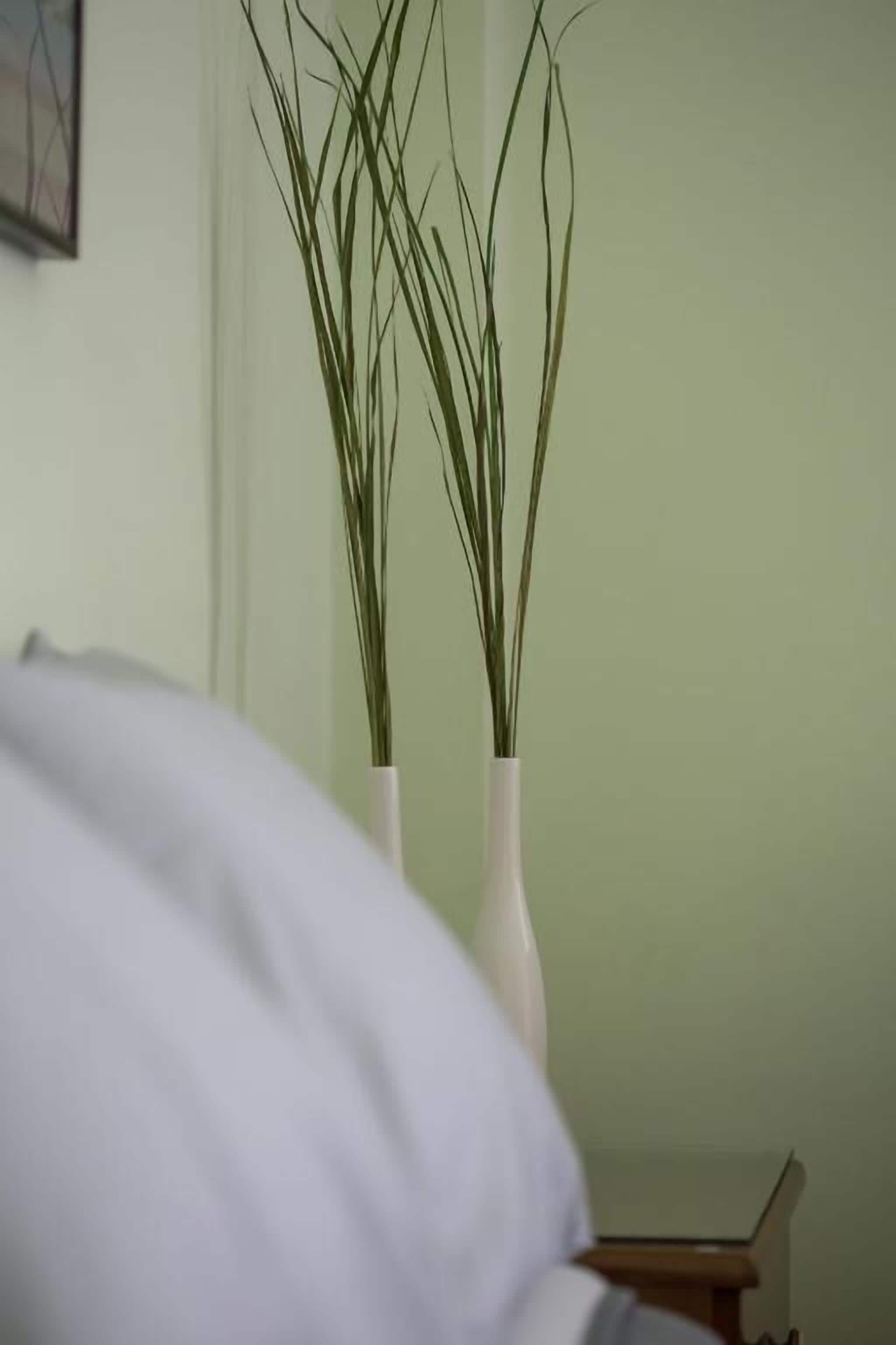 A room with a bed, a nightstand, and two white vases with tall green plants.