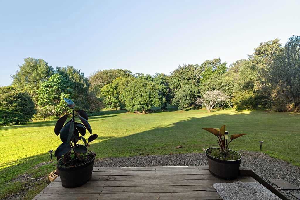 A wooden deck with two potted plants, a grassy lawn, and a dense tree line in the background.