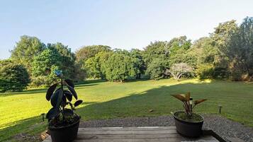 A wooden deck with two potted plants, a grassy lawn, and a dense tree line in the background.
