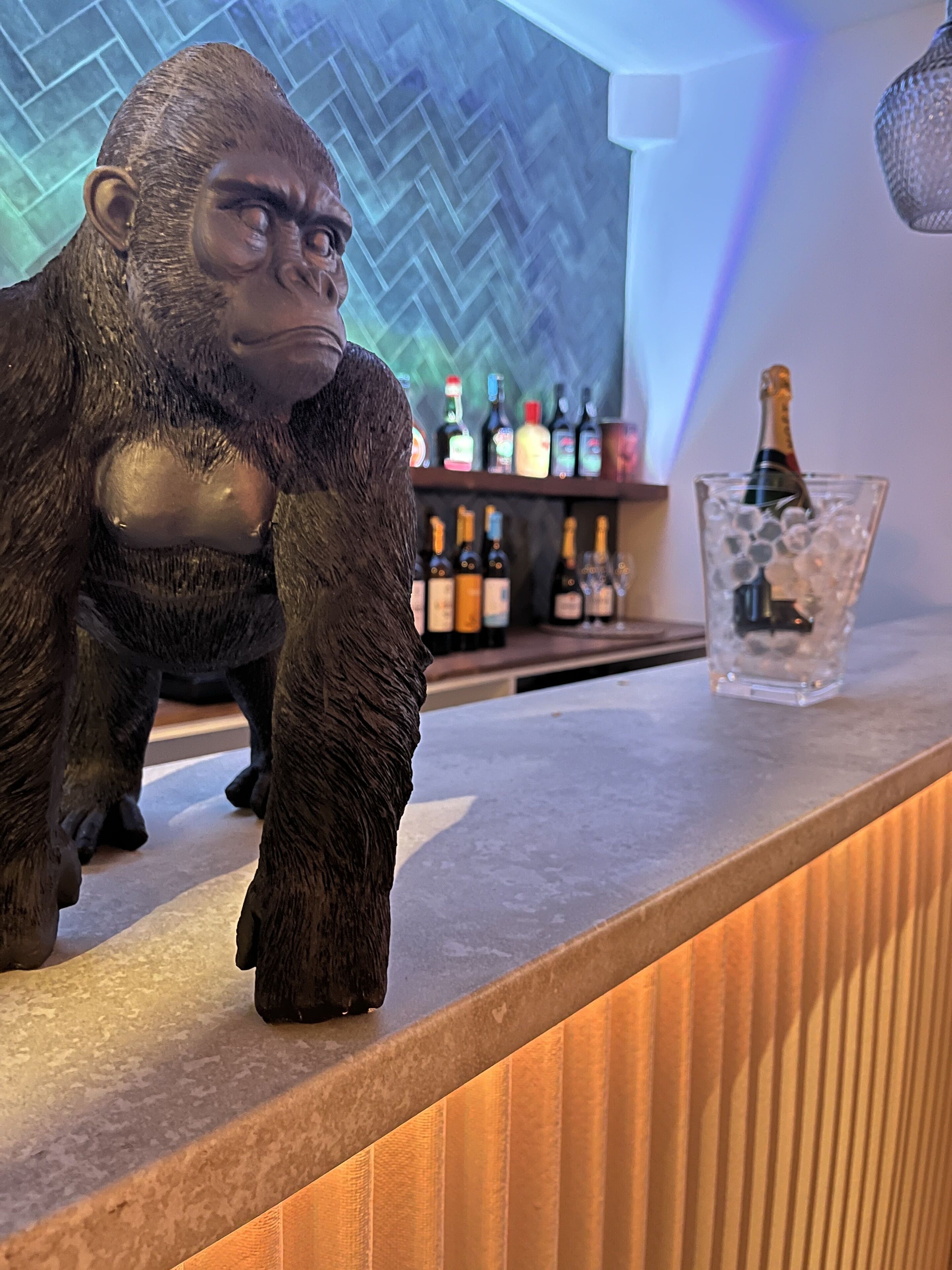 Bar (en la propiedad)