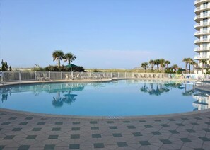 Una piscina con borde de baldosas, rodeada de palmeras y una valla blanca.