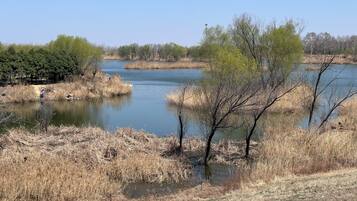 Un lago tranquilo rodeado de pastizales secos y escasos árboles.