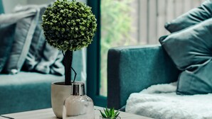 A cozy living room with a teal sofa, a coffee table with a potted plant, a remote control, and a small decorative vase. - Hayy Collection Townhouse Living at Cliff Oaks (Leeds)