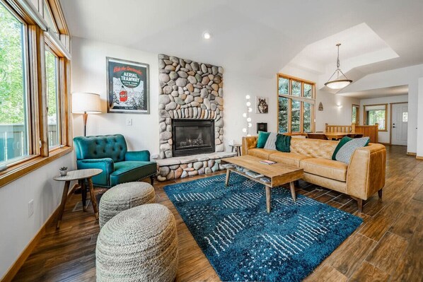 TV, fireplace, video games, books