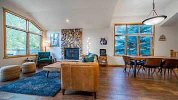 TV, fireplace, video games, books