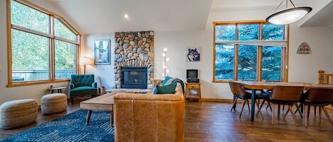 Télévision, cheminée, jeux vidéo, livres