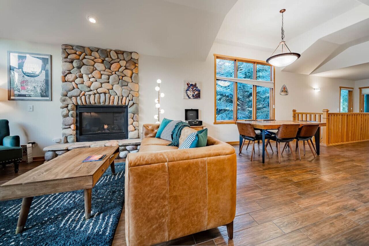 TV, fireplace, video games, books