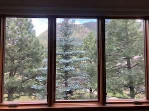 Interior - SALE! Hot tub, fireplace, king bed, A+ location! (Estes Park)