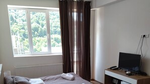 Studio | Living area - WishBeHere (Borjomi)