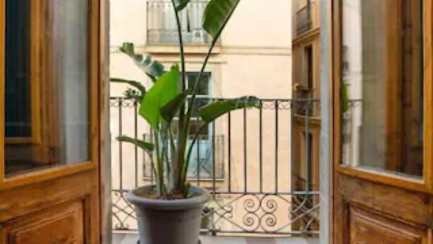 Egyptian cotton sheets, premium bedding, down duvets, memory-foam beds - Sol y K (Barcelona)