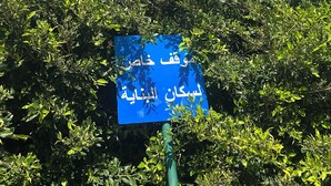 A blue sign with Arabic text partially obscured by dense green foliage.