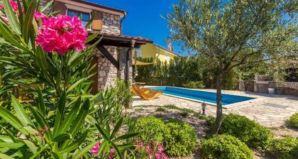 Holiday House Blue IVY