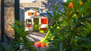 Unclassified image, 2 of 52, button - Villa Rustica in Linardici (Krk)