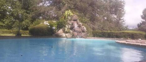 Outdoor pool, sun loungers