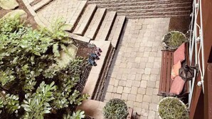 Una serie di gradini esterni conduce a un ponte in legno, circondato da piante in vaso e un muro di pietra.