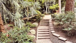 Un sentiero in pietra che si snoda attraverso un giardino con diverse piante e alberi.