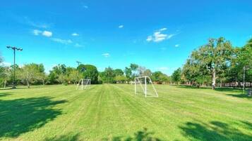 Un campo cubierto de césped bien cuidado con dos porterías de fútbol, rodeado de árboles y un cielo despejado.