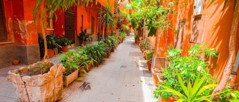 المنطقة المحيطة بالمنشأة