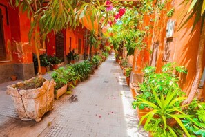 Áreas de la propiedad