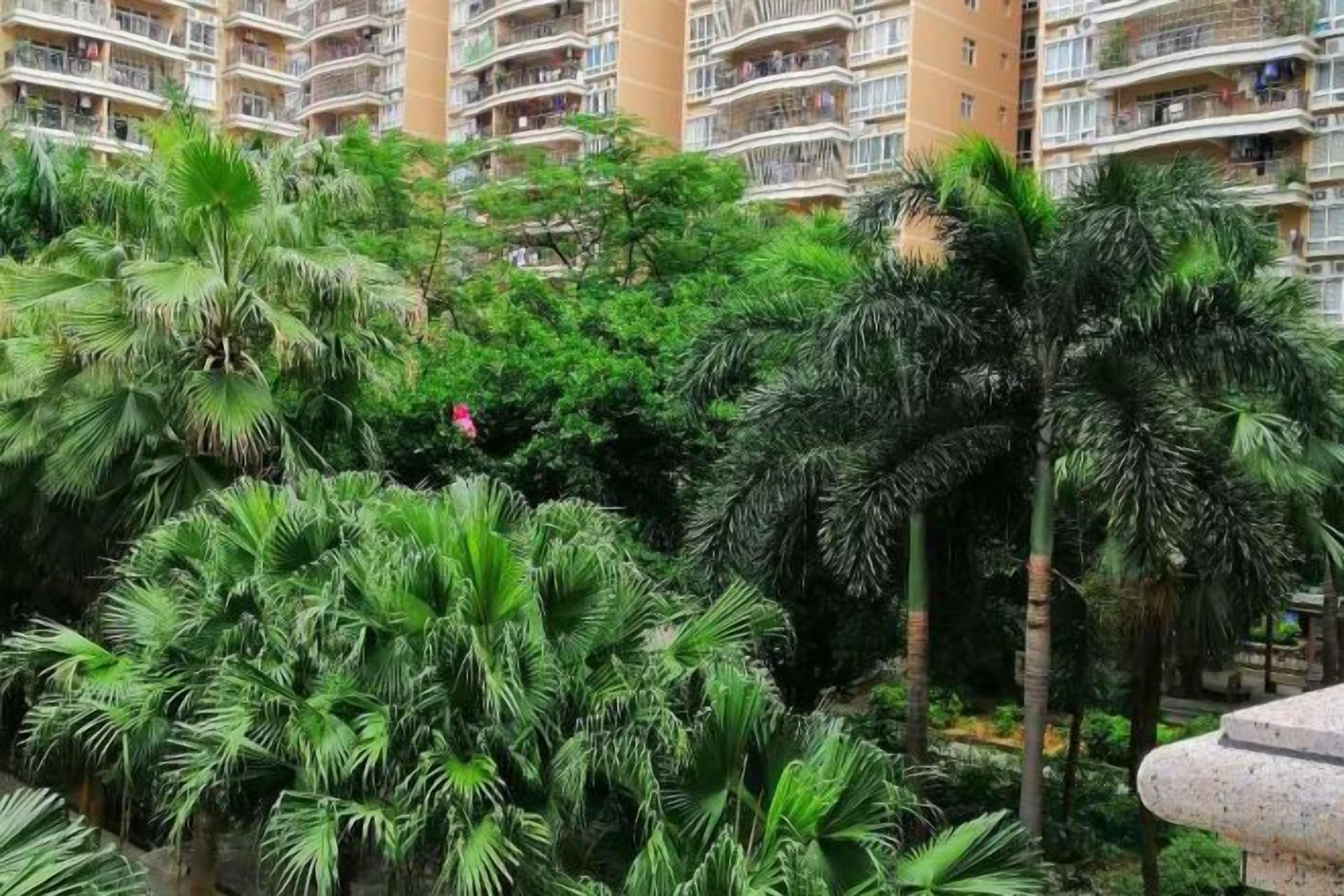 A multi-story residential building with balconies, surrounded by dense tropical vegetation.