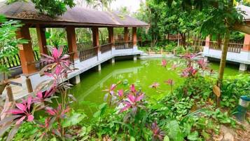 A covered pavilion with a pond, surrounded by lush greenery and plants.