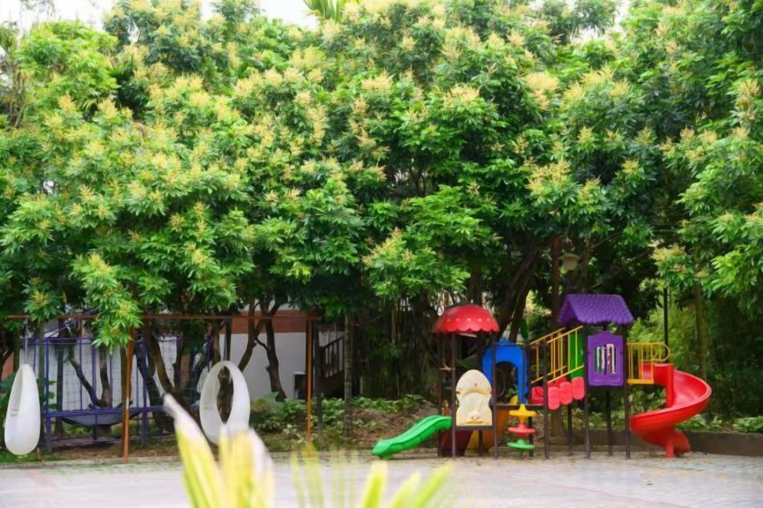 A playground with various play structures, surrounded by trees.